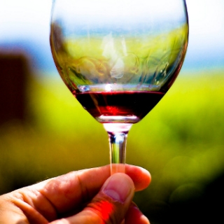 Excursion de enoturismo